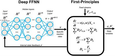 Hybrid deep modeling of a CHO-K1 fed-batch process: combining first-principles with deep neural networks
